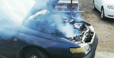 Фото из открытых источников