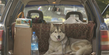 Фото: АвтоВзгляд