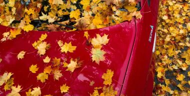 Фото: pxhere.com.