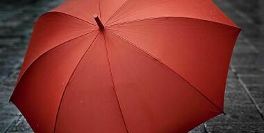 Сухо и комфортно: хитрый способ убрать мокрый зонт в автомобиле