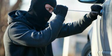 Фото: somanyhorses.ru.