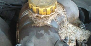 фото: соцсети