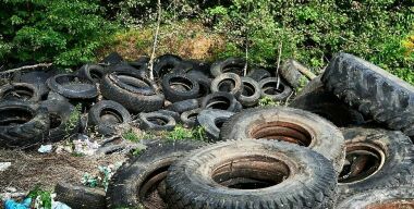 Dunlop развивает экологическую программу «ЭкоПатруль Dunlop»