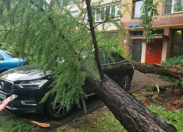 Изображение Как возместить ущерб от потопа и упавшего на машину дерева