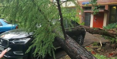 Как возместить ущерб от потопа и упавшего на машину дерева