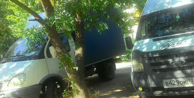 фото: соцсети