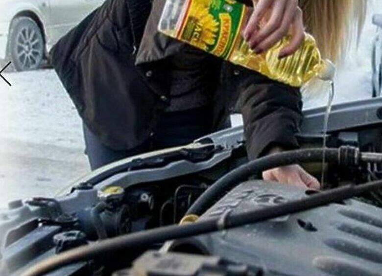Изображение Для чего водители используют подсолнечное масло в автомобиле