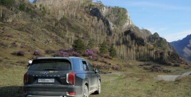 На машине по Алтаю: увидеть Willys на Чуйском тракте