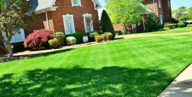 Секрет английского газона