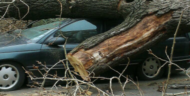 Фото odnastroka.ru