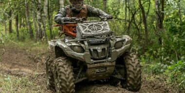 Фото из открытых источников