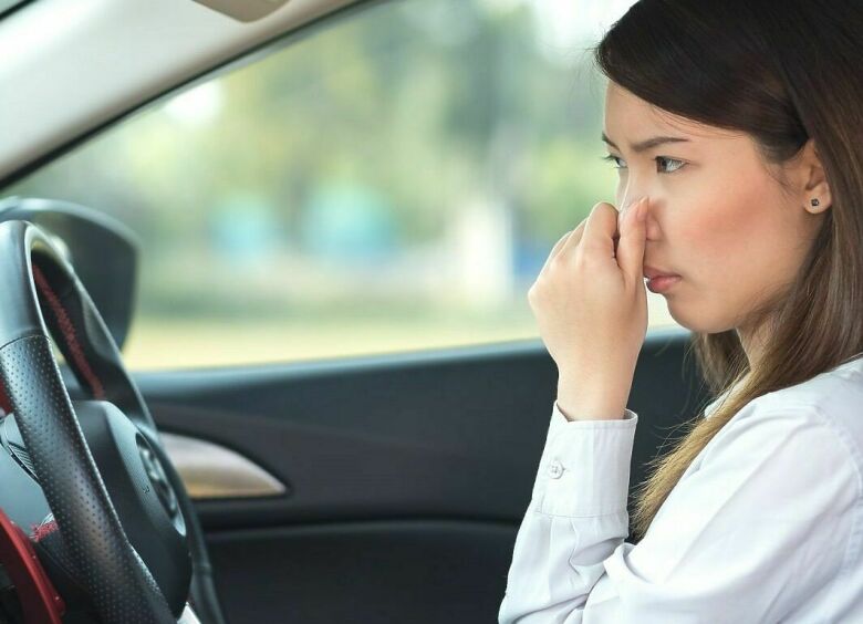Изображение Лаврушка в помощь: как таксисты удаляют неприятный запах в автомобиле