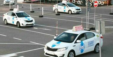 Курам на смех: сколько раз можно пересдавать экзамены на «права»