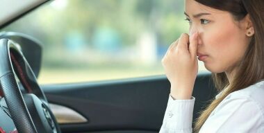 Лаврушка в помощь: как таксисты удаляют неприятный запах в автомобиле