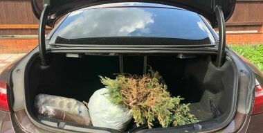 Дешевые, но крайне полезные подарки автомобилистам на Старый Новый год