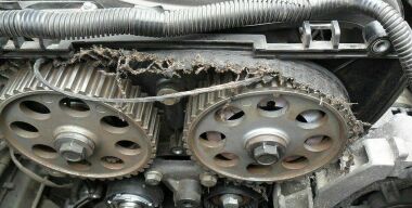 Фото из открытых источников