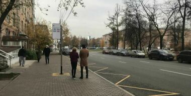 Столичный Дептранс уничтожает деревья ради остановок, с которых нельзя уехать