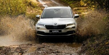 Skoda придумала тест-драйвы автомобилей для детей и собак