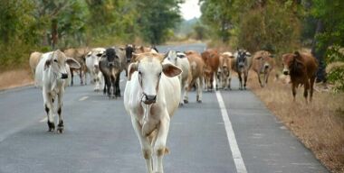 фото freepik.com