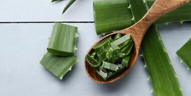 фото freepik.com