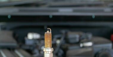 фото freepik.com