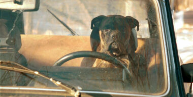 Фото: АвтоВзгляд