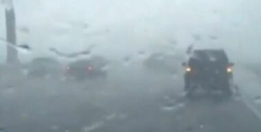 Фото miamiherald.com