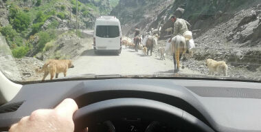 Фото: АвтоВзгляд