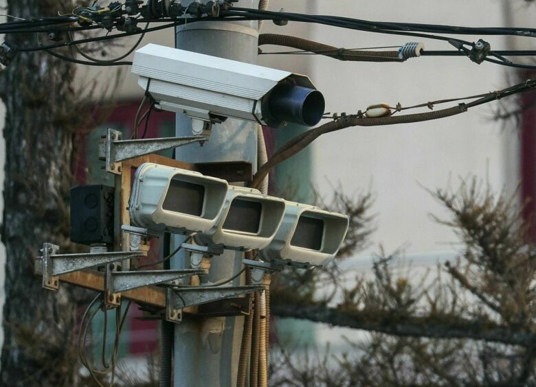 Изображение Через месяц число камер-ловушек в столице резко увеличится