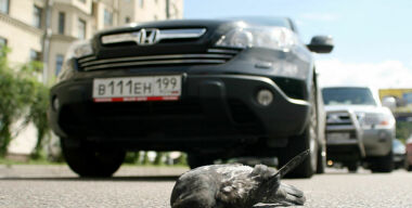 Фото: Кирилл Искольдский