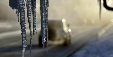 Фото tampabay.com