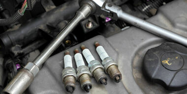 Фото: www.alamy.com