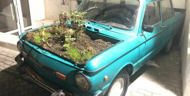 Фото: Вячеслав Василенко