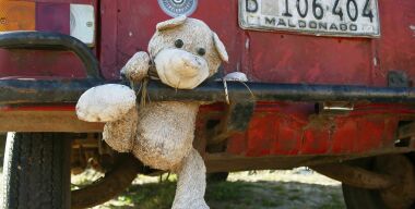 фото globallookpress.com