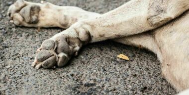 Фото: newsthen.com