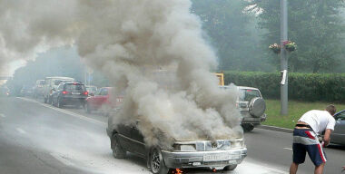 Фото: Елена Минашкина 