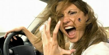 Фото www.automotoportal.com