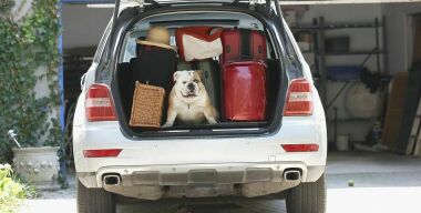 Фото сaranddriver.com