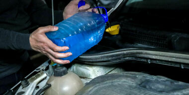 Фото: globallookpress.com