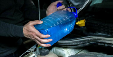 Фото: globallookpress.com