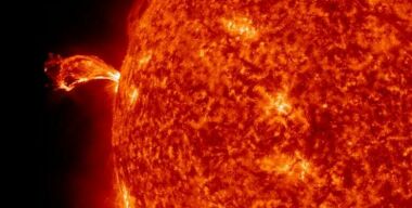 Фото almanac.com