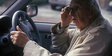 ГИБДД разрешит водить машины слепоглухонемым с помощью собак-поводырей