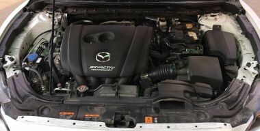 Фото: Вячеслав Василенко