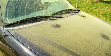 dizzydick.blogspot.com