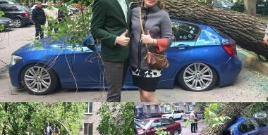 16 человек и 2000 авто пострадали от урагана в Москве