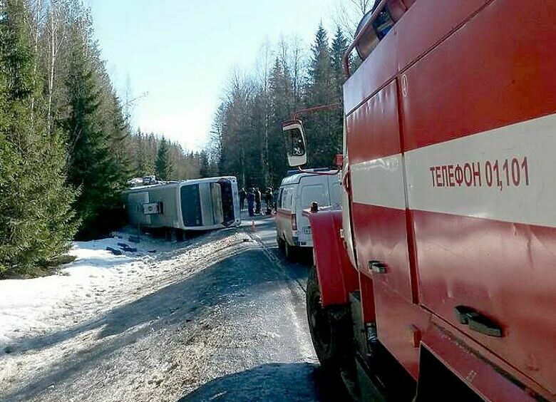 Изображение В Ленинградской области разбился туристический автобус