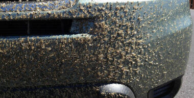 entomologytoday.org