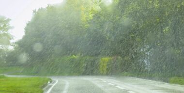 Фото albatz.files.wordpress.com