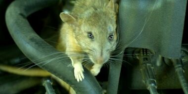 usercontent1.hubstatic.com