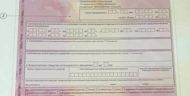 «Синие ведерки» поддерживают отмену денежных выплат по ОСАГО